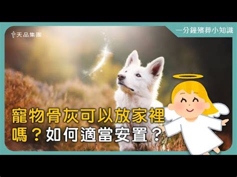 寵物骨灰放在家|他临终遗言：把骨灰分两份，陪两任妻子，晚年探望初恋杨绛却被。